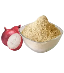 Onion Dried Powder